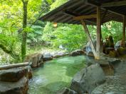 露天に屋根があるので雨音を聞きながらの湯浴みもまた粋
