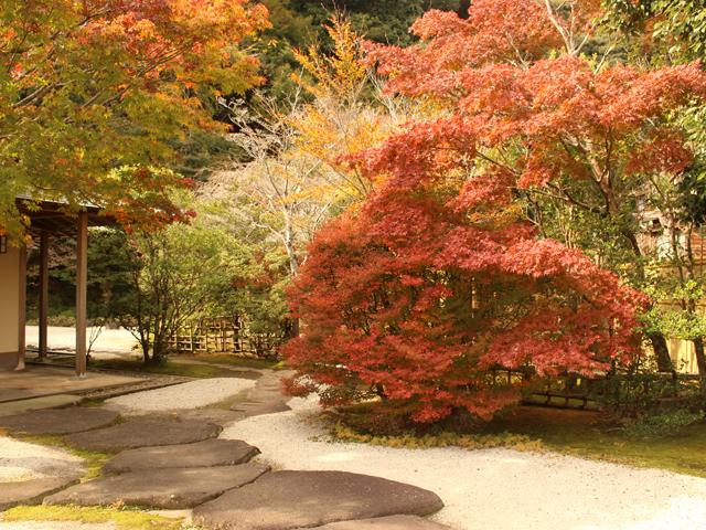 &lt;font color=&quot;#800000&quot;&gt;&lt;strong&gt;汲心亭&lt;/strong&gt;&lt;/font&gt;（佐伯市）&lt;br&gt;佐伯城の米蔵跡にある茶室。お茶が楽しめる「更深軒」や「五味庵」から見える美しい庭園は、秋になると木々が美しく色づきます。木造の平屋建、茅葺きの屋根、銅板葺、土壁･･･と風情あふれる建物を見るのも楽しみの一つです。&lt;br&gt;&lt;hr&gt;&lt;span style=&quot;font-size:14px;&quot;&gt;【DATA】&lt;br /&gt; 住所／佐伯市城下西町3-13号&lt;br&gt;電話／0972-23-3400　(佐伯市観光案内所)　&lt;br&gt;見頃／11月中旬～11月下旬&lt;br&gt;&lt;a href=&quot;https://www.visit-saiki.jp/spots/detail/6459e9b2-3ae2-407f-b764-29feccbe6c6f&quot; target=&quot;_blank&quot;&gt;&lt;font color=&quot;#0033ff&quot;&gt;詳細はこちら&lt;/font&gt;&lt;/a&gt;&lt;/span&gt;