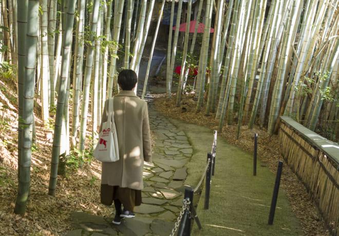 ※この記事は2019年2月末日時点の情報です。内容・価格等変更になる場合があります。