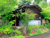 緑に囲まれた古民家風の建物。招き猫を探してみて