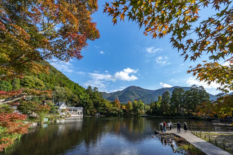 CAFE LA RUCHE からの眺め