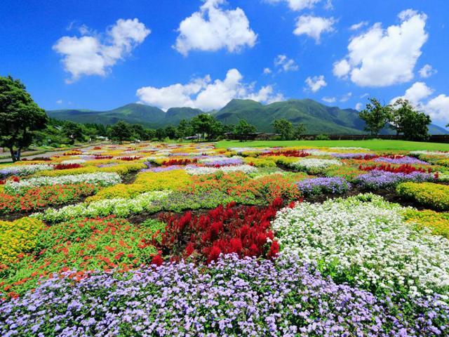 &lt;a href=&quot;https://www.visit-oita.jp/topics/detail/440&quot; target=&quot;_blank&quot;&gt;&lt;font color=&quot;#800080&quot;&gt;&lt;strong&gt;■上着を脱いで出かけよう！！春の花巡りスポット&lt;/strong&gt;&lt;/font&gt;&lt;br&gt; おんせん県おおいたには、ピンク、黄色、赤･･･とワクワクするような色とりどりの花スポットがいっぱいです。&lt;/a&gt;&lt;br&gt;&lt;br&gt;