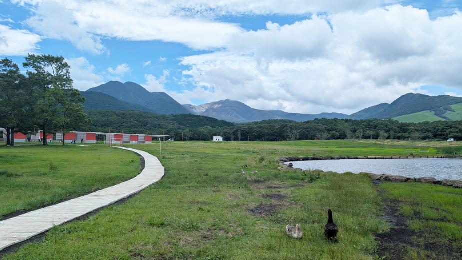 ■この記事は2025年7月の情報です