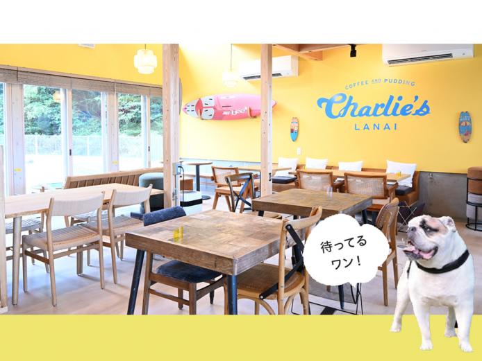 &lt;font color=&quot;#ff0000&quot;&gt;&lt;strong&gt;愛犬と一緒に楽しめる明礬エリアの新名所&lt;/strong&gt;&lt;/font&gt;&lt;br&gt;&lt;font color=&quot;#ff00ff&quot;&gt;&lt;strong&gt; Charlie’s L anai（チャーリーズラナイ）&lt;/strong&gt;&lt;/font&gt;&lt;br&gt;老舗旅館『岡本屋』が手掛ける、ドッグラン＆ハワイアンカフェ。広々としたドッグランは芝生や水遊びエリアを備え、雨の日に利用できるエリアも完備。カフェもワンちゃん同伴可能で、種類豊富なメニューが楽しめます。豊かな自然の中でワンちゃんと一緒にのびのび過ごすのはいかが？&lt;hr&gt;&lt;span style=&quot;font-size:14px;&quot;&gt;&lt;strong&gt;【DATA】&lt;/strong&gt;&lt;br /&gt;住所／大分県別府市明礬4組&lt;br&gt;電話／0977-84-7511&lt;br&gt;営業時間／10:30～18:30（LO17:30）&lt;br&gt;料金／【ドッグラン利用料】月～金曜 1頭につき1200円（2頭目は800円）、土・日曜、祝日は1頭につき1500円（2頭目は1000円）※1人につき2頭までの利用に限る。ほか詳細はHPをご覧ください&lt;br&gt;休み／なし&lt;br&gt;駐車場／20台※ほかRVパーク5台あり&lt;br&gt;交通アクセス／別府ICから車で約10分&lt;br &gt;&lt;a href=&quot; https://x.gd/jnvL1&quot; target=&quot;_blank&quot;&gt;&lt;font color=&quot;#0033ff&quot;&gt;Instagramはこちら&lt;/font&gt;&lt;/a&gt;&lt;br&gt;&lt;a href=&quot; https://x.gd/TUfaM &quot; target=&quot;_blank&quot;&gt;&lt;font color=&quot;#0033ff&quot;&gt;MAPはこちら&lt;/font&gt;&lt;/a&gt;&lt;/span&gt;&lt;br&gt;&lt;br&gt;