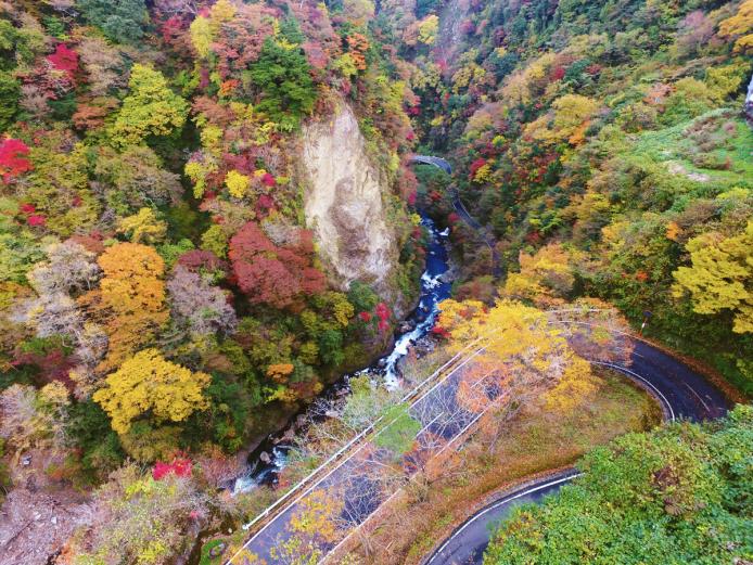 &lt;font color=&quot;#800000&quot;&gt;&lt;strong&gt;九酔渓&lt;/strong&gt;&lt;/font&gt;（九重町）&lt;br&gt;玖珠川流域の両岸約2kmにわたって断崖絶壁が直立にそそり立つ「九酔渓」。ヘアピンカーブの連続するこの渓谷は、別名「十三曲がり」と呼ばれる新緑と紅葉の名所です。モミやツガ、カツラなどの渓谷林は四季折々にさまざまな姿を見せてくれます。渓谷を見下ろす峠の展望台からの眺望は、渓谷とマッチして格別な趣があります。&lt;br&gt;&lt;hr&gt;&lt;span style=&quot;font-size:14px;&quot;&gt;【DATA】&lt;br /&gt; 住所／九重町田野&lt;br&gt;電話／0973-76-3150（九重町観光・地域振興課）&lt;br&gt;見頃／11月上旬～11月中旬&lt;br&gt;アクセス／九重ICから車で約15分&lt;br&gt;&lt;a href=&quot;https://www.visit-oita.jp/spots/detail/4738&quot; target=&quot;_blank&quot;&gt;&lt;font color=&quot;#0033ff&quot;&gt;詳細はこちら&lt;/font&gt;&lt;/a&gt;&lt;/span&gt;&lt;br&gt;&lt;/span&gt;&lt;br&gt;