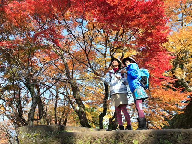 &lt;a href=&quot;https://www.visit-oita.jp/topics/detail/421#kouyou&quot; target=&quot;_blank&quot;&gt;&lt;font color=&quot;#0033ff&quot;&gt;特集：秋の自然を愛でる旅「紅葉」&lt;/font&gt;&lt;br&gt;鮮やかに彩られた県内各地の紅葉スポットをご紹介。&lt;/a&gt;