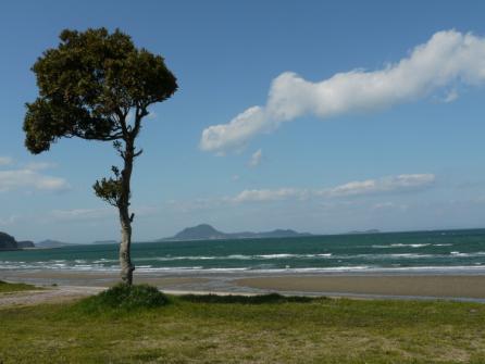 キャンプ場風景