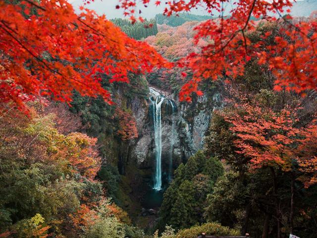&lt;font color=&quot;##800080&quot;&gt;&lt;strong&gt;福貴野（ふきの）の滝&lt;/strong&gt;&lt;/font&gt;&lt;br&gt;荘厳な滝と真っ赤な紅葉のコントラストが美しい「宇佐の三滝」の1つ。噴火によってできた猛々しい岩肌に沿って落ちる滝は迫力満点。全身で大自然を体感できます。&lt;hr&gt;&lt;span style=&quot;font-size:14px;&quot;&gt;【DATA】&lt;br /&gt;住所／宇佐市安心院町福貴野&lt;br&gt;電話／0978-34-4839（宇佐市観光協会安心院支部）&lt;br&gt;駐車場／20台&lt;br&gt;交通アクセス／安心院ICから車で約20分&lt;br /&gt;&lt;a href=&quot;https://www.city.usa.oita.jp/tourist/touristspot/touristspot2/touristspot3/10154.html&quot; target=&quot;_blank&quot;&gt;&lt;font color=&quot;#0033ff&quot;&gt;詳細はこちら&lt;/font&gt;&lt;/a&gt;&lt;/span&gt;&lt;br&gt;&lt;br&gt;