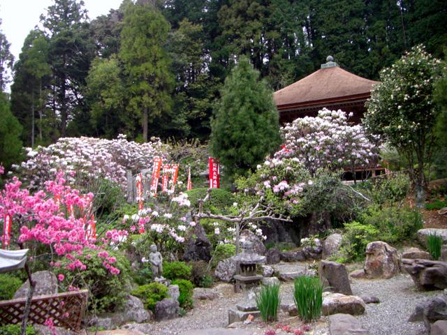 <font color="#EE82EE"><strong>神角寺（じんかくじ）</strong></font>（豊後大野市）<br>千年以上の歴史を持つ古刹。境内には約400本ものシャクナゲが植えられており、深紅や濃い桃色、淡いピンクなど、様々な色で埋め尽くされます。約1,500万年前の溶結凝灰岩の柱状節理からなる尾根上に立地しているため、眺めも抜群です。<hr><span style="font-size:14px;">【DATA】<br /> 花の種類／シャクナゲ<br>見頃／4月上旬～4月下旬<br>住所／豊後大野市朝地町島田1354<br>電話／0974-72-1111（豊後大野市朝地支所）<br>駐車場／40台<br>アクセス／大野ICから車で約20分<br><a href="https://www.visit-oita.jp/spots/detail/4550" target="_blank"><font color="#0033ff">詳細はこちら</font></a></span>