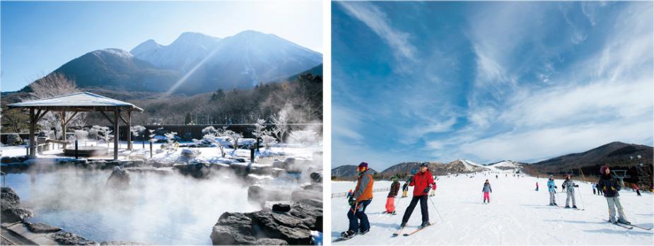 &lt;font color=&quot;#800080&quot;&gt;【九重“夢”温泉郷】＋【九重森林公園スキー場】&lt;/font&gt;&lt;br&gt; ■九重“夢温泉郷”～九重星生ホテル～■&lt;br&gt; 温泉が豊富に湧出する九重町は、泉質や趣のことなるバリエーションに富んだ温泉地が多数点在することから「九重“夢”温泉郷」と呼ばれています。雄大な自然に囲まれているのも魅力のひとつです。&lt;br&gt; 【DATA】&lt;br&gt; 住所：九重町田野230／電話：0973-79-3111／営業時間：10:00～19:00（受付～18:00）※火・金曜14:30～19:00（受付～18:00）／休み：なし／泉質：硫黄泉、酸性緑礬泉、冷鉱泉、単純温泉／P：100台／アクセス：九重ICから車で約30分&lt;br&gt; &lt;a href=&quot;https://www.town.kokonoe.oita.jp/docs/2018020100011/&quot; target=&quot;_blank&quot;&gt;詳細はこちら&lt;/a&gt;&lt;br&gt;&lt;br&gt; ■九重森林公園スキー場■&lt;br&gt; 最大斜度25度、総延長2,500ｍの九州最大級のスキー場。初心者から上級者まで幅広く楽しめるコースをはじめ、ソリや雪遊び専用の広場もあり、小さなお子様連れの方でも安心して遊ぶことができます。&lt;br&gt; 【DATA】&lt;br&gt; 住所：九重町大字湯坪612-1／電話：0973-79-2200／P：1,000台／アクセス：九重ICから車で約40分&lt;br&gt; &lt;a href=&quot;https://www.kujyuski.co.jp/&quot; target=&quot;_blank&quot;&gt;詳細はこちら&lt;/a&gt;&lt;br&gt;&lt;br&gt;