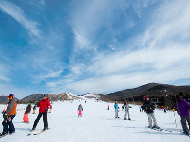 &lt;font color=&quot;#800080&quot;&gt;&lt;strong&gt;くじゅう森林公園スキー場、今シーズンは12月8日（金）オープン予定 &lt;/strong&gt;&lt;/font&gt;&lt;br&gt;九重町にある九州最大級のスキー場。最大斜度25度、総延長2500ｍのこのスキー場には様々なコースがあり、初心者から上級者までお楽しみいただけます。また、レンタルやスキースクールも行っており、道具がない方や初心者の方も気軽に楽しめます。ほかにも、ソリや雪遊び専用の広場もあり、小さなお子様連れの方でも安心して遊ぶことができます。&lt;hr&gt;&lt;span style=&quot;font-size:14px;&quot;&gt;【DATA】&lt;br &gt;期間／12月8日（金）～2024年3月中旬～下旬頃まで&lt;br&gt;場所／くじゅう森林公園スキー場（九重町湯坪612-1）&lt;br&gt;問合せ／0973-79-2200（くじゅう森林公園スキー場）&lt;br&gt;&lt;a href=&quot;https://www.kujyuski.co.jp/&quot; target=&quot;_blank&quot;&gt;&lt;font color=&quot;#0033ff&quot;&gt;詳細はこちら&lt;/font&gt;&lt;/a&gt;&lt;/span&gt;&lt;br&gt;&lt;br&gt;
