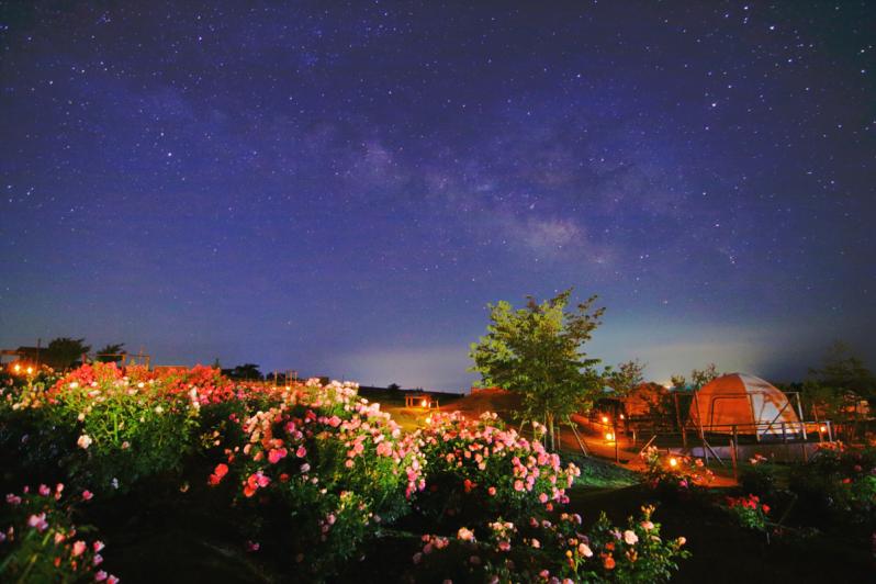 花公園夜景