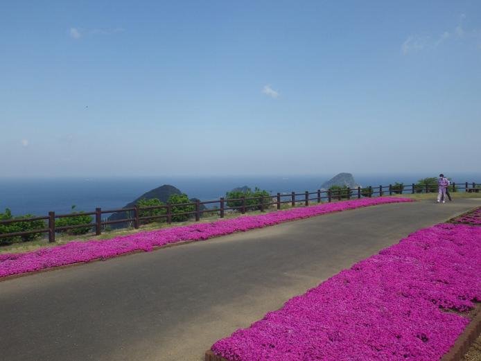 <font color="#EE82EE"><strong>空の展望所</strong></font>（佐伯市）<br> 空の公園の一部である空の展望所では、花を駐車場から東屋への通路沿いに植栽しており、満開時は鮮やかなピンクの絨毯のような景観が楽しめます。6月になると、アジサイが見ごろを迎えます。<hr> <span style="font-size:14px;">【DATA】<br /> 花の種類／芝桜<br> 見頃／3月下旬～4月下旬<br> 住所／佐伯市米水津大字宮之浦<br> 電話／0972-35-6111（米水津振興局）<br> 駐車場／20台（バスOK）<br> アクセス／佐伯ICより車で約34分<br> <a href="https://www.visit-saiki.jp/spots/detail/1c5fc746-f2e1-4bc7-83a0-306a79bee9ac" target="_blank"><font color="#0033ff">詳細はこちら</font></a></span>