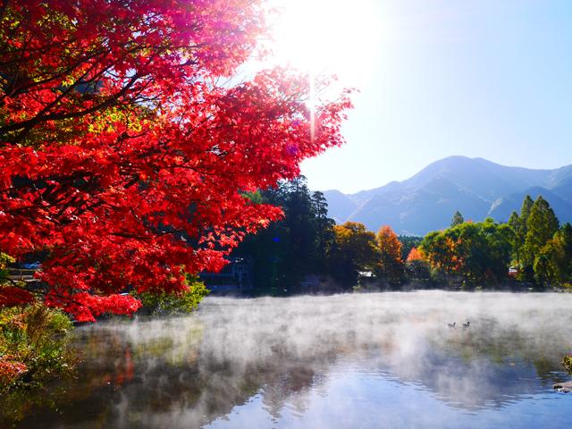 &lt;font color=&quot;#800000&quot;&gt;&lt;strong&gt;金鱗湖&lt;/strong&gt;&lt;/font&gt;（由布市）&lt;br&gt;秋が深まる頃から冬にかけての朝方、霧のベールに覆われて幻想的な雰囲気に包まれます。「金鱗湖」という名は、明治初期の儒学者･毛利空桑が湖で泳ぐ魚の鱗が夕日で金色に輝くのを見て名付けたといわれています。&lt;br&gt;&lt;hr&gt;&lt;span style=&quot;font-size:14px;&quot;&gt;【DATA】&lt;br /&gt; 住所／由布市湯布院町川上1561-1&lt;br&gt;電話／0977-84-2446（由布市ﾂｰﾘｽﾄｲﾝﾌｫﾒｰｼｮﾝｾﾝﾀｰ）&lt;br&gt;見頃／11月上旬～11月中旬&lt;br&gt;&lt;a href=&quot;https://yufuin.gr.jp/spot/spot-1268/&quot; target=&quot;_blank&quot;&gt;&lt;font color=&quot;#0033ff&quot;&gt;詳細はこちら&lt;/font&gt;&lt;/a&gt;&lt;/span&gt;