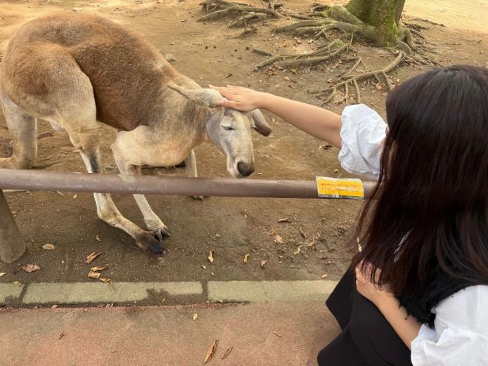 &lt;font color=&quot;#800080&quot;&gt;&lt;strong&gt;九州自然動物公園 アフリカンサファリ&lt;/strong&gt;&lt;/font&gt;（宇佐市）&lt;br&gt;広大な自然の中で動物たちが生き生きと暮らす、日本最大級のサファリパーク。 「カンガルーふれあいの森」では、アカカンガルーが自由気ままに過ごしていま す。まるでオジサンのように寝そべる姿を間近で見たり、エサやりもできます。&lt;hr&gt;&lt;span style=&quot;font-size:14px;&quot;&gt;&lt;strong&gt;【DATA】&lt;/strong&gt;&lt;br /&gt;住所／宇佐市安心院町南畑2-1755-1&lt;br&gt;電話／0978-48-2331&lt;br&gt;営業時間／9:00～16:00（3月1日～10月31日）、9:00～15:00（11月1日～2月末日）&lt;br&gt;料金／高校生以上2600円、4歳～中学生1500円&lt;br&gt;休み／なし&lt;br&gt;交通アクセス／別府湾スマートICから車で約7分&lt;br &gt;&lt;a href=&quot;https://africansafari.co.jp/&quot; target=&quot;_blank&quot;&gt;&lt;font color=&quot;#0033ff&quot;&gt;HPはこちら&lt;/font&gt;&lt;/a&gt;&lt;br&gt;&lt;a href=&quot; https://x.gd/vsVrH&quot; target=&quot;_blank&quot;&gt;&lt;font color=&quot;#0033ff&quot;&gt;MAPはこちら&lt;/font&gt;&lt;/a&gt;&lt;/span&gt;&lt;br&gt;&lt;br&gt;