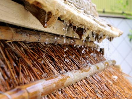 源泉を竹の枝に伝わせて適温に冷ます「湯雨竹」