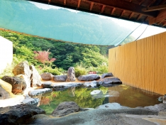 日本三大薬湯”と称される、全国的にも珍しい貴重な泉質