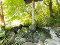 「沙羅の木」の温泉。滞在中は源泉かけ流しの湯をいつでも好きな時に楽しめる