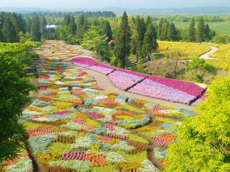 くじゅう花公園 日本一の おんせん県 大分県の観光情報公式サイト くじゅう花公園 日本一の おんせん県 大分県の観光情報公式サイト