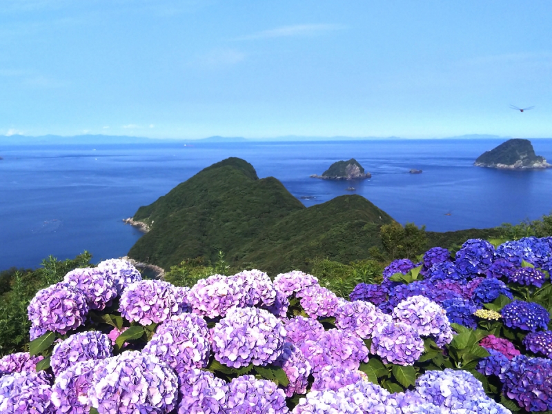 空の公園 日本一の おんせん県 大分県の観光情報公式サイト 空の公園 日本一の おんせん県 大分県の観光情報公式サイト