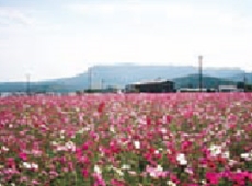 八面山平和公園コースの画像