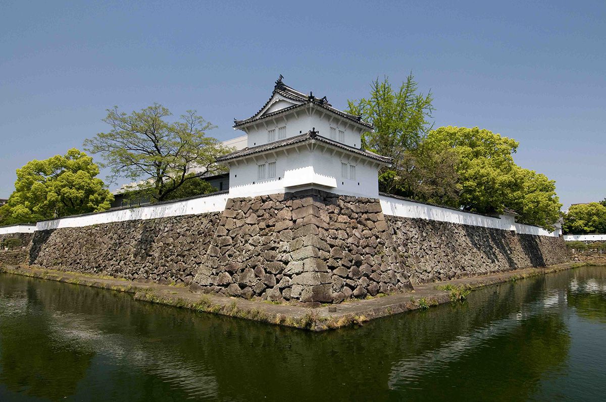 別府湾エリアの画像