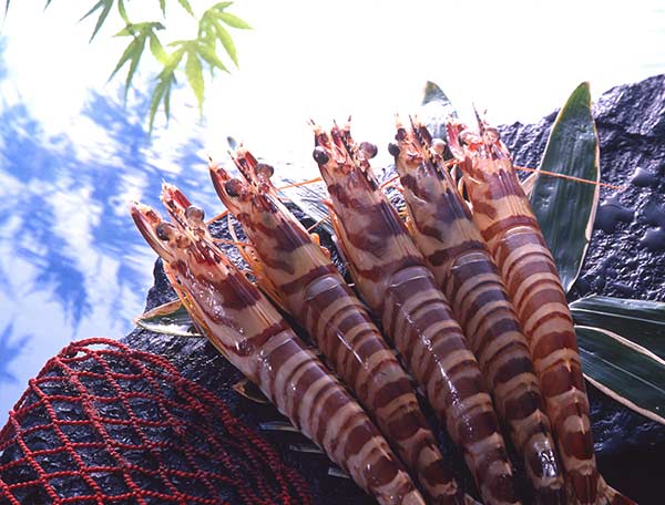 姫島車えびしゃぶしゃぶ善 御鎮座1300年の「宇佐神宮」参拝&「姫島」のんびり島内観光