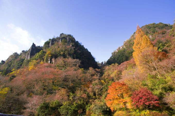 添乗員同行中津名物ハモを味わう深耶馬渓の紅葉と御鎮座1300年の宇佐神宮芳醇なワインを醸す安心院葡萄酒工房でお買物