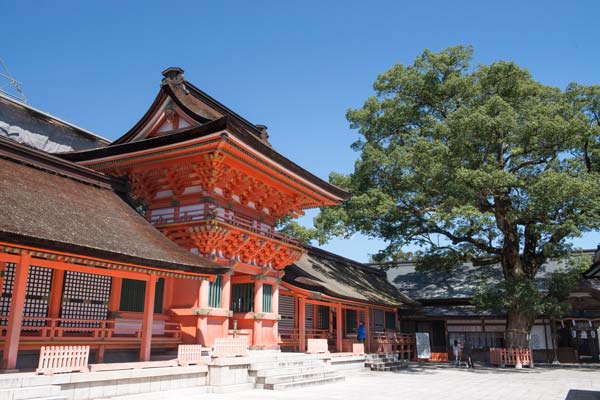 宇佐神宮御鎮座1300年 悠久の歴史を体感 豊前海料理は「丸萬」